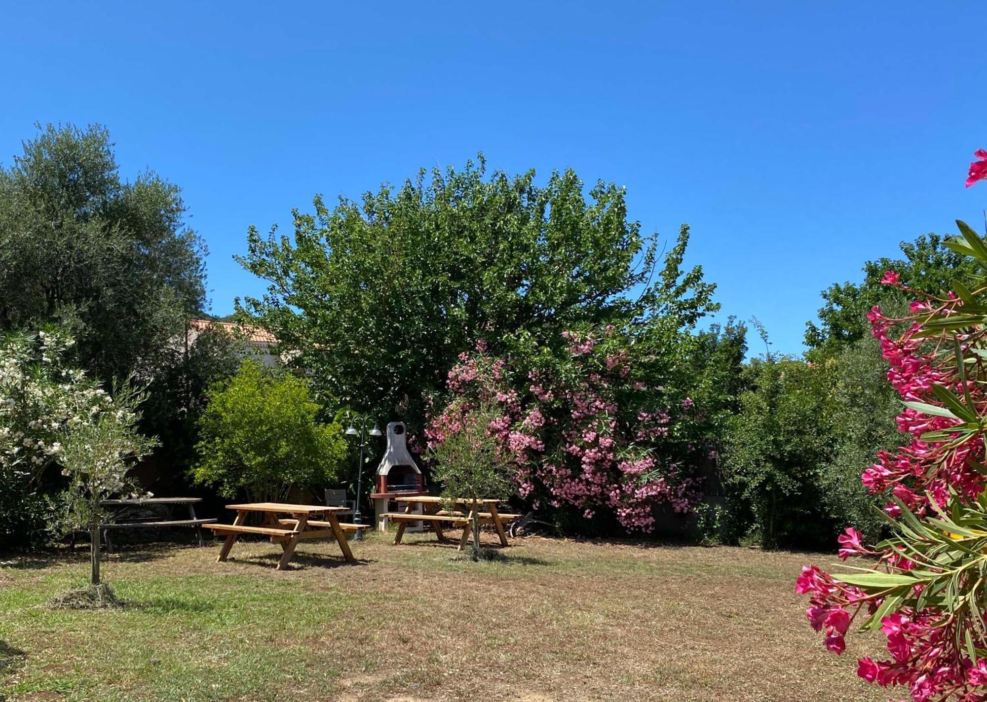 Apartment Les Muriers 